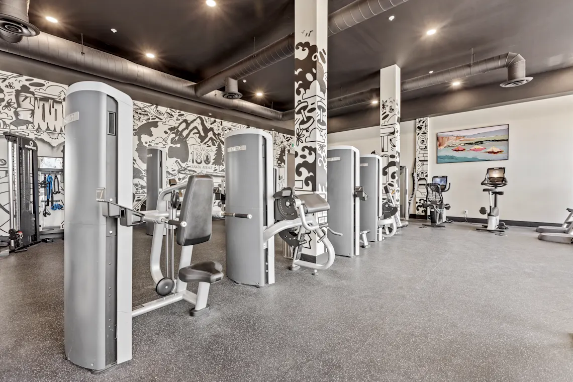 Fitness centre with a row of treadmills and free weights