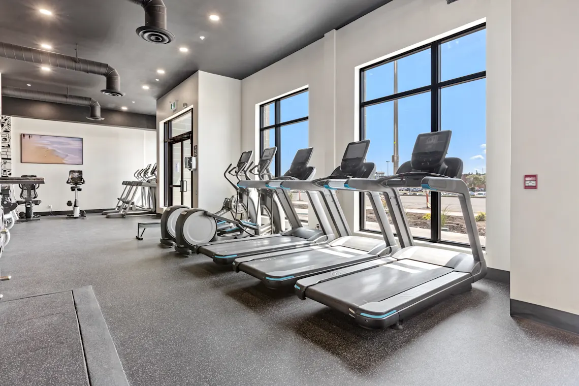 Cardio equipment in the fitness centre