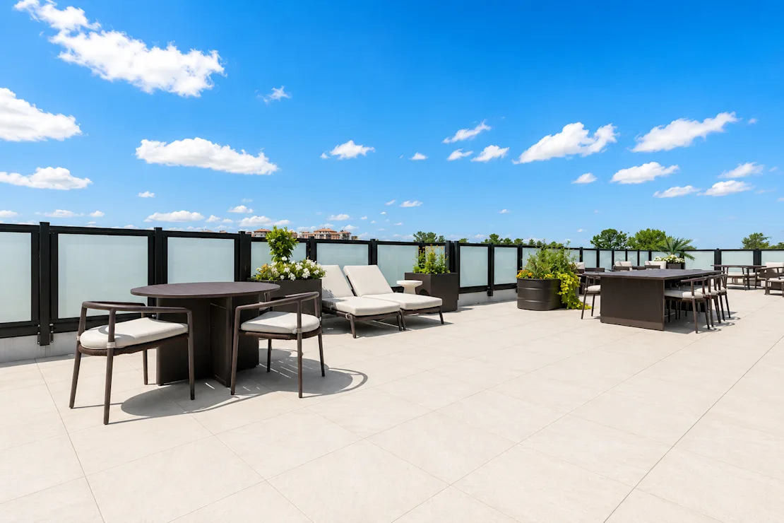 Rooftop terrace overlooking the treetops